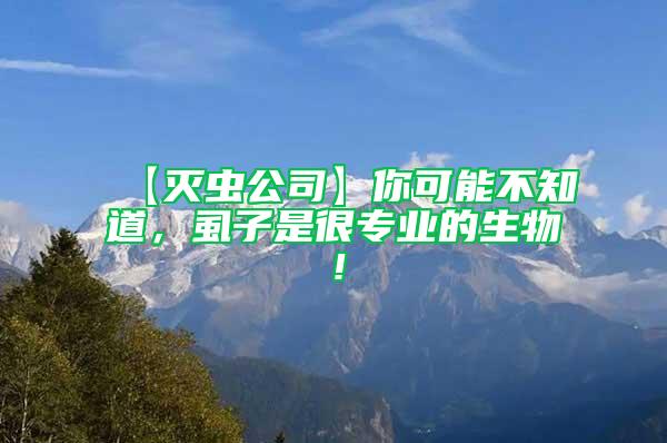 【滅蟲公司】你可能不知道，虱子是很專業的生物！