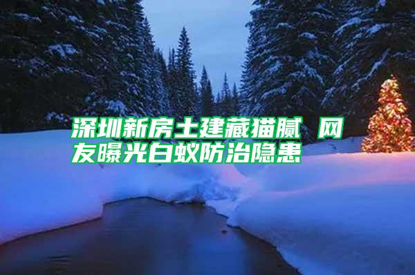 深圳新房土建藏貓膩 網友曝光白蟻防治隱患