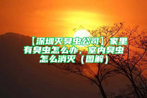 【深圳滅臭蟲公司】家里有臭蟲怎么辦，室內臭蟲怎么消滅（圖解）