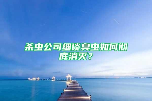 殺蟲公司細(xì)談臭蟲如何徹底消滅？
