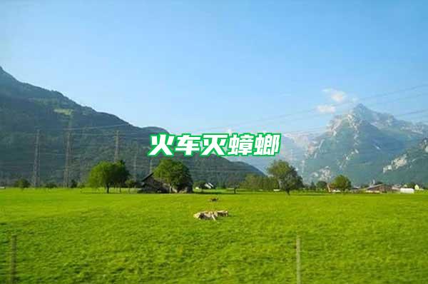 火車(chē)滅蟑螂