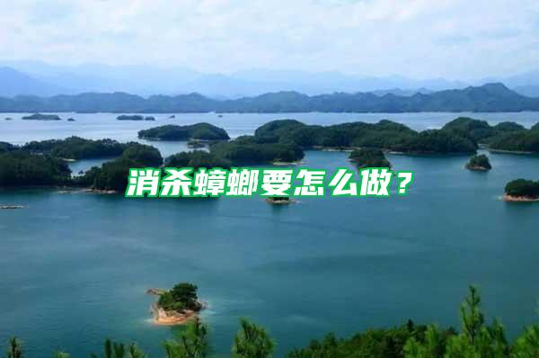 消殺蟑螂要怎么做？