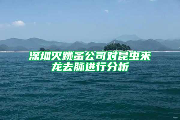 深圳滅跳蚤公司對昆蟲來龍去脈進行分析