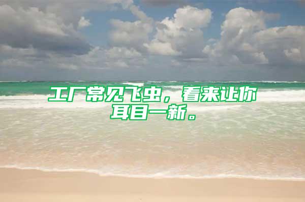 工廠常見飛蟲，看來讓你耳目一新。