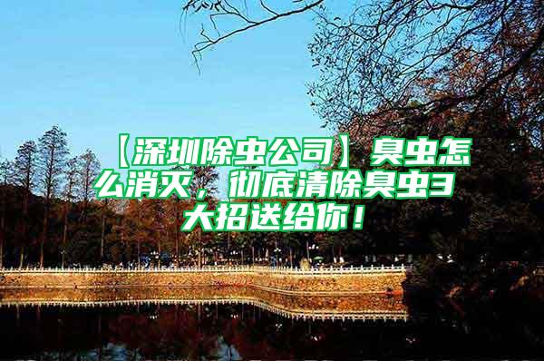 【深圳除蟲公司】臭蟲怎么消滅，徹底清除臭蟲3大招送給你！