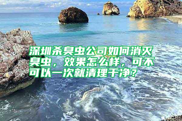 深圳殺臭蟲公司如何消滅臭蟲，效果怎么樣，可不可以一次就清理干凈？