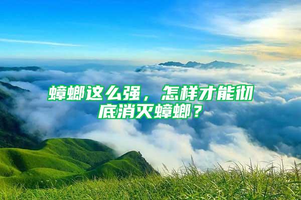 蟑螂這么強，怎樣才能徹底消滅蟑螂？