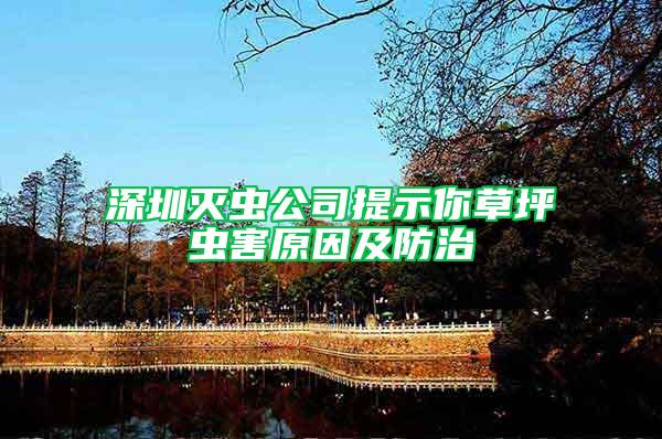 深圳滅蟲公司提示你草坪蟲害原因及防治