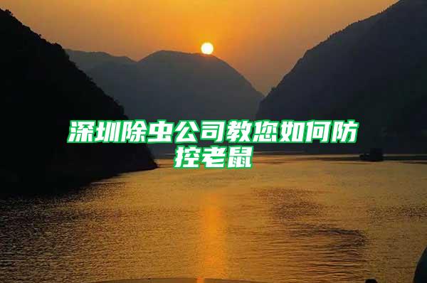 深圳除蟲公司教您如何防控老鼠