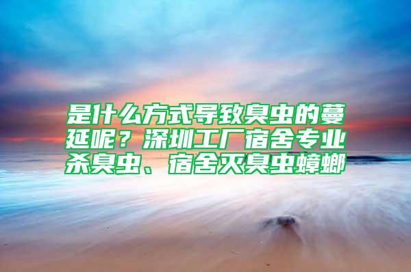 是什么方式導致臭蟲的蔓延呢？深圳工廠宿舍專業殺臭蟲、宿舍滅臭蟲蟑螂