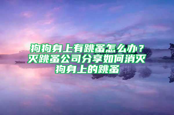 狗狗身上有跳蚤怎么辦？滅跳蚤公司分享如何消滅狗身上的跳蚤