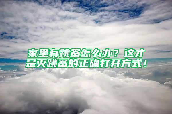 家里有跳蚤怎么辦？這才是滅跳蚤的正確打開方式！