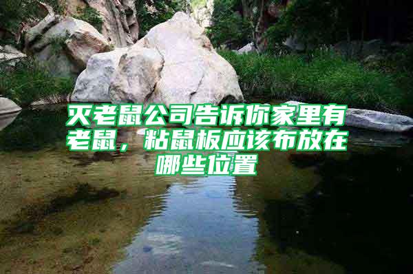 滅老鼠公司告訴你家里有老鼠，粘鼠板應該布放在哪些位置