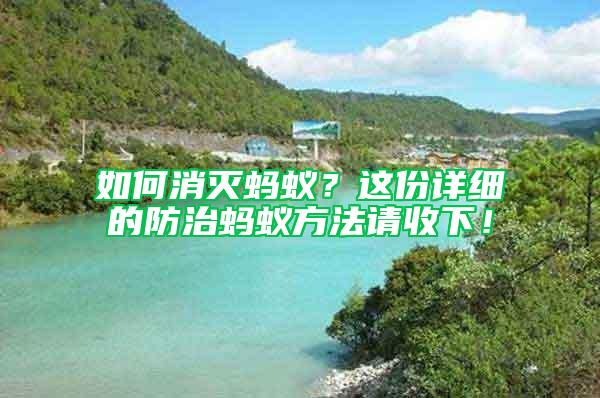 如何消滅螞蟻？這份詳細的防治螞蟻方法請收下！