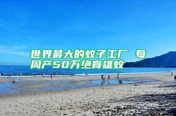 世界最大的蚊子工廠 每周產50萬絕育雄蚊