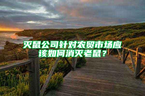 滅鼠公司針對農貿市場應該如何消滅老鼠？