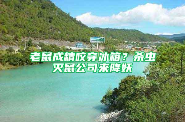 老鼠成精咬穿冰箱？殺蟲滅鼠公司來降妖