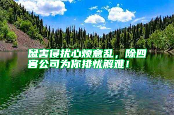 鼠害侵擾心煩意亂，除四害公司為你排憂解難！