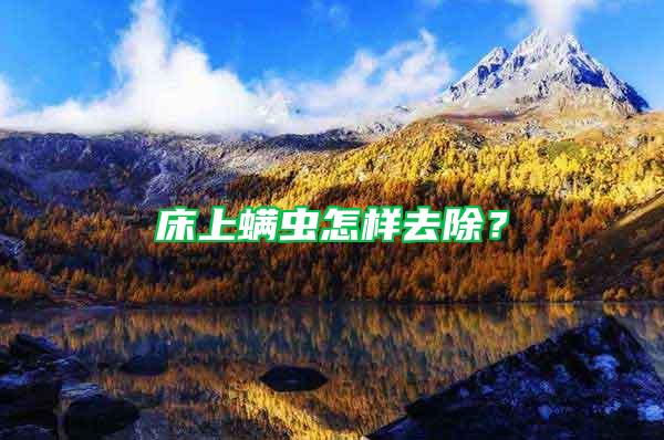 床上螨蟲怎樣去除？