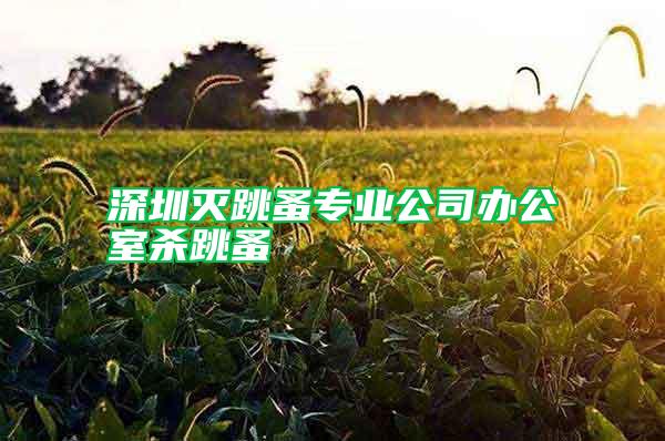 深圳滅跳蚤專業公司辦公室殺跳蚤