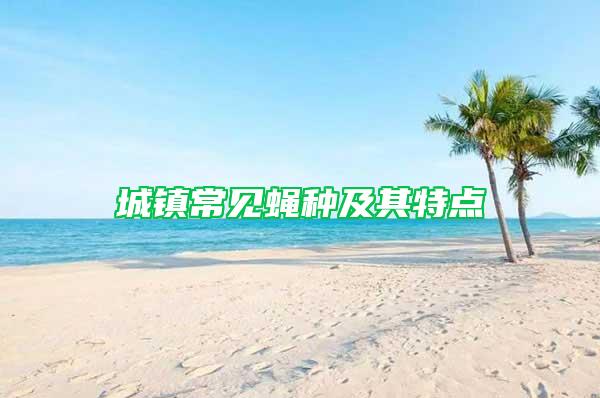 城鎮常見蠅種及其特點