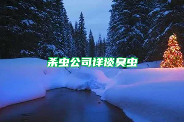 殺蟲(chóng)公司詳談臭蟲(chóng)