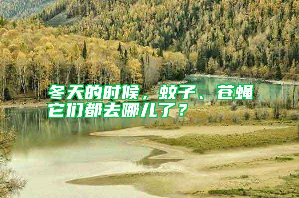 冬天的時候，蚊子、蒼蠅它們都去哪兒了？