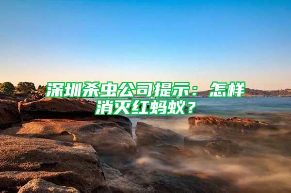 深圳殺蟲公司提示：怎樣消滅紅螞蟻？