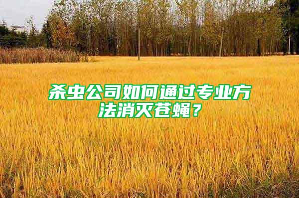 殺蟲公司如何通過專業方法消滅蒼蠅？