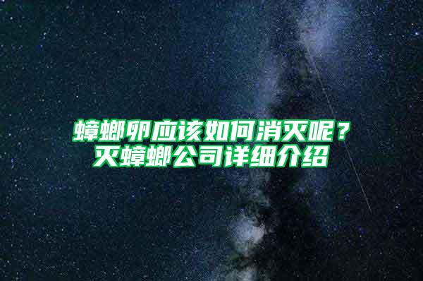 蟑螂卵應該如何消滅呢？滅蟑螂公司詳細介紹