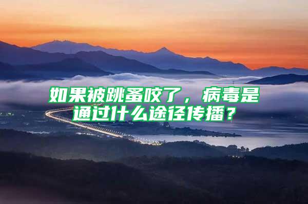 如果被跳蚤咬了，病毒是通過什么途徑傳播？