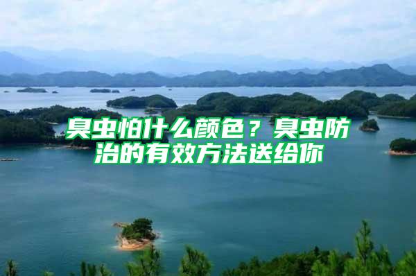 臭蟲怕什么顏色？臭蟲防治的有效方法送給你
