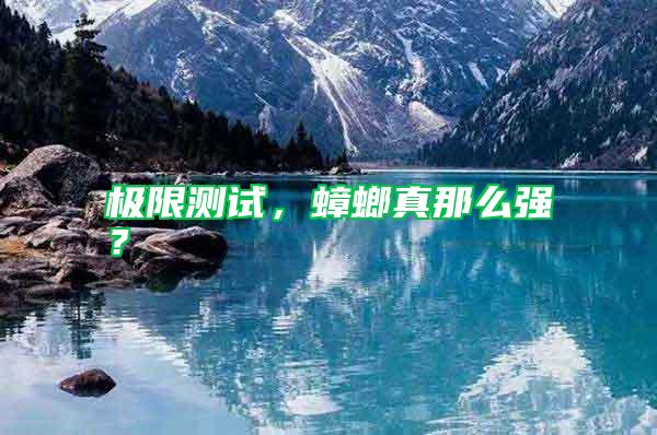極限測試，蟑螂真那么強？
