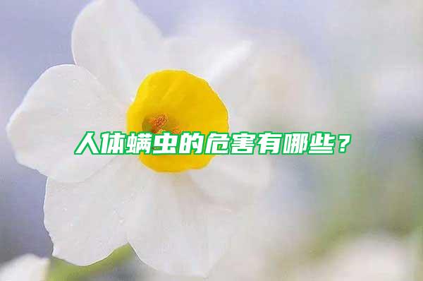 人體螨蟲的危害有哪些？