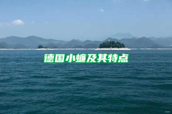 德國小蠊及其特點