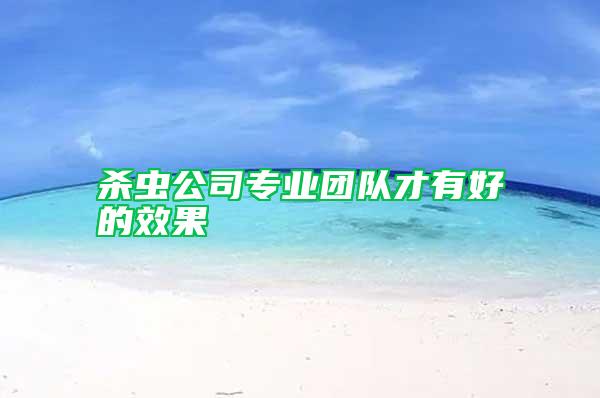 殺蟲公司專業團隊才有好的效果