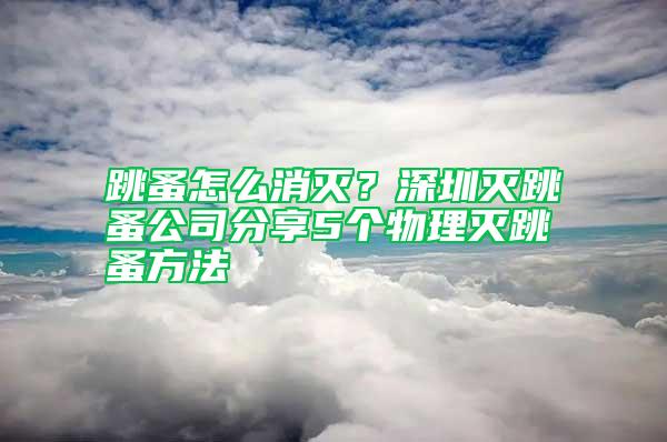 跳蚤怎么消滅？深圳滅跳蚤公司分享5個物理滅跳蚤方法