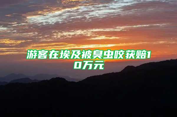 游客在埃及被臭蟲咬獲賠10萬元