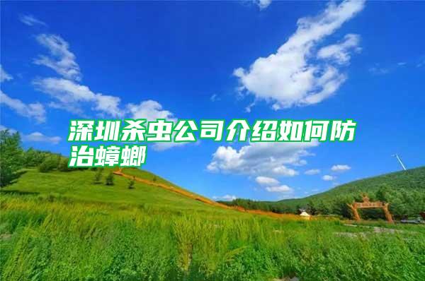 深圳殺蟲公司介紹如何防治蟑螂