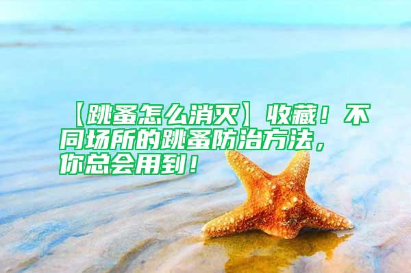 【跳蚤怎么消滅】收藏！不同場所的跳蚤防治方法，你總會用到！