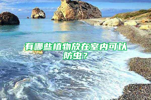有哪些植物放在室內可以防蟲？