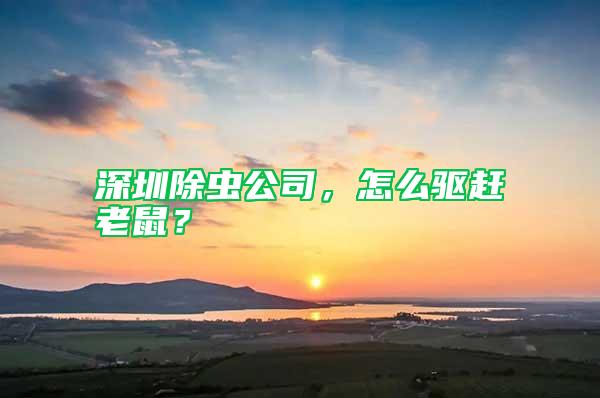深圳除蟲公司，怎么驅趕老鼠？