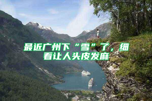 最近廣州下“雪”了，細看讓人頭皮發麻