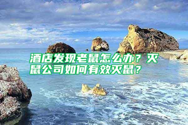 酒店發現老鼠怎么辦？滅鼠公司如何有效滅鼠？