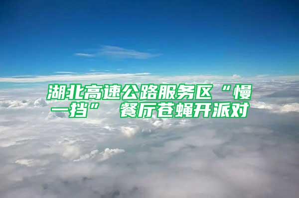 湖北高速公路服務區“慢一擋” 餐廳蒼蠅開派對