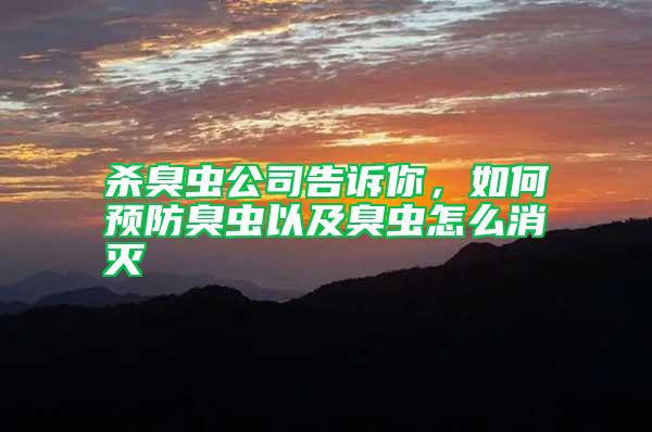 殺臭蟲公司告訴你，如何預(yù)防臭蟲以及臭蟲怎么消滅
