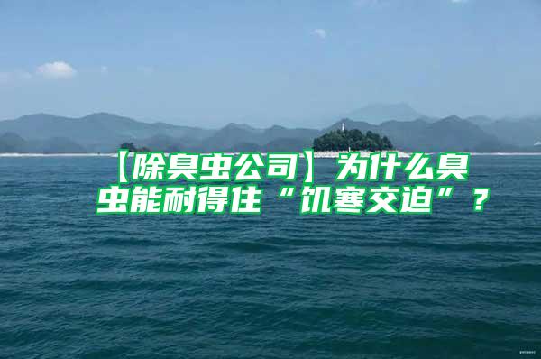 【除臭蟲公司】為什么臭蟲能耐得住“饑寒交迫”？