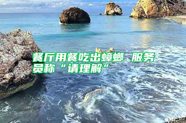 餐廳用餐吃出蟑螂 服務員稱“請理解”