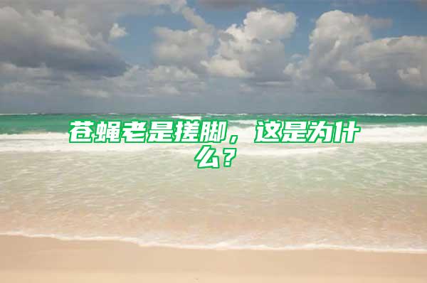 蒼蠅老是搓腳，這是為什么？