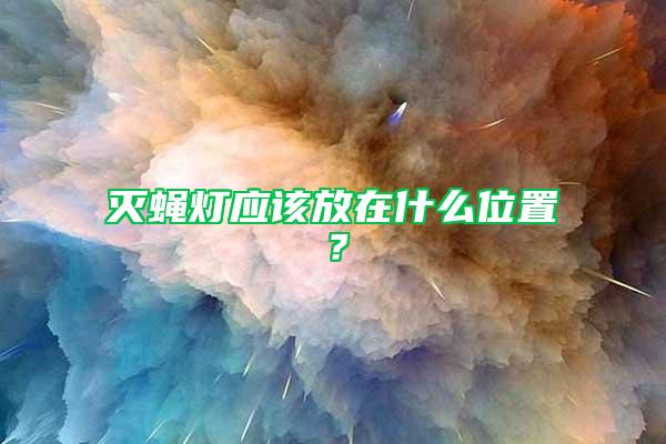 滅蠅燈應該放在什么位置？